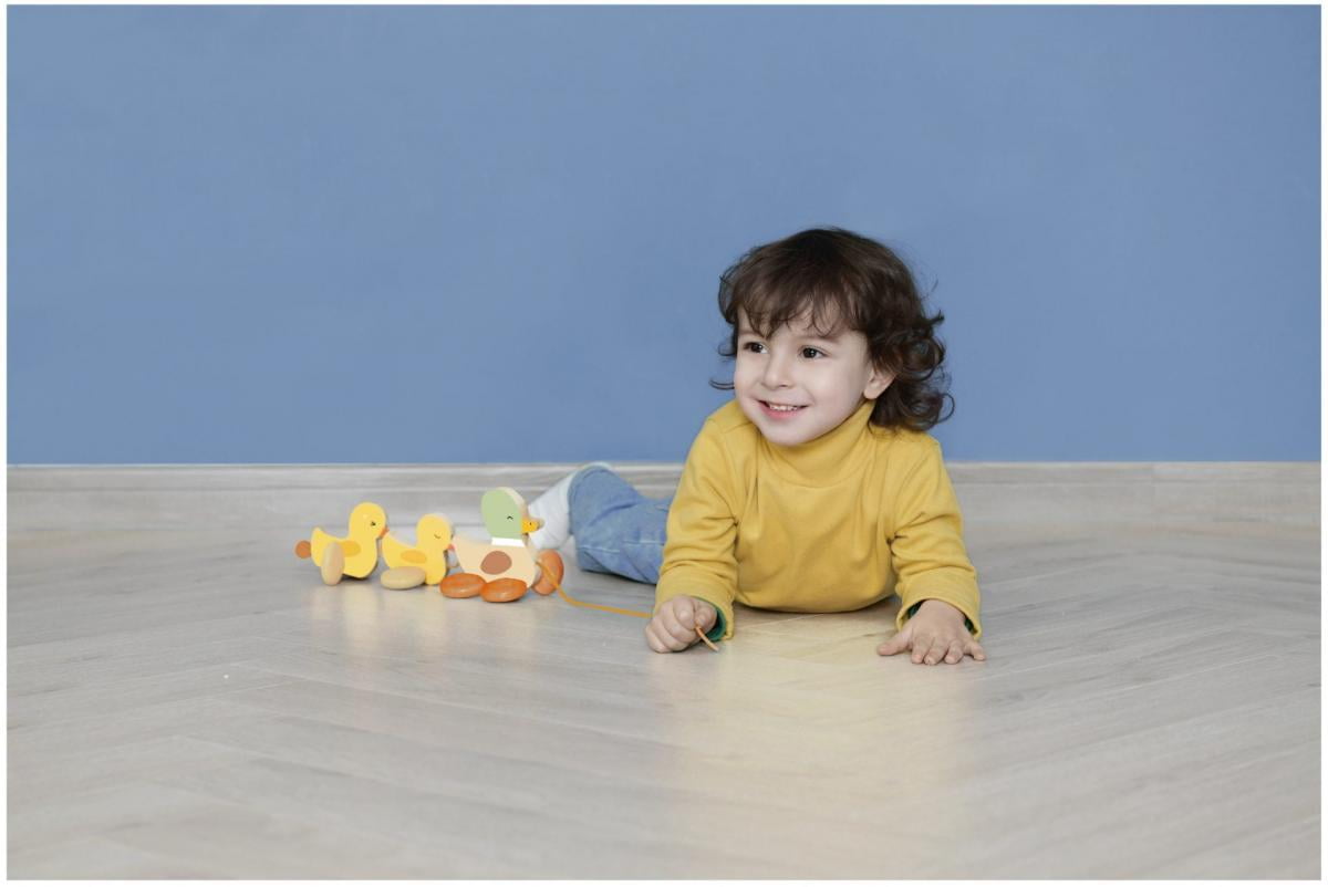 Classic World Pull Duck