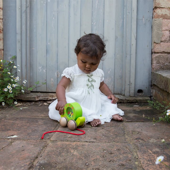 Classic World Pull Snail & Rattle