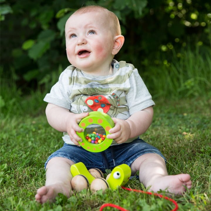 Classic World Pull Snail & Rattle