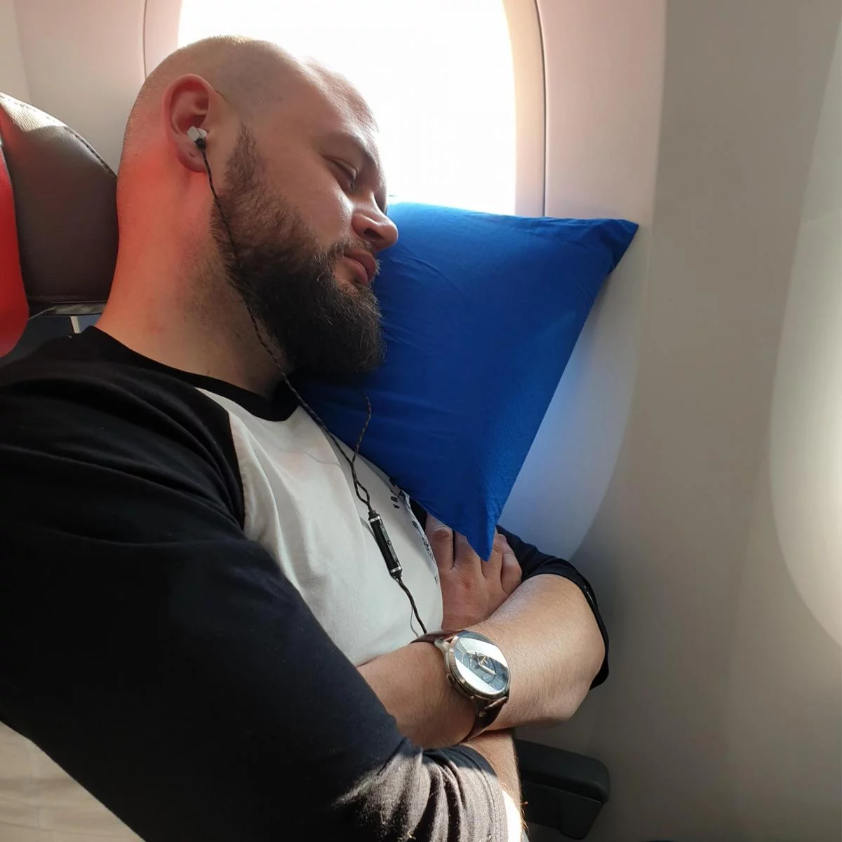 Hippychick Waterproof Memory Foam Travel Pillow
