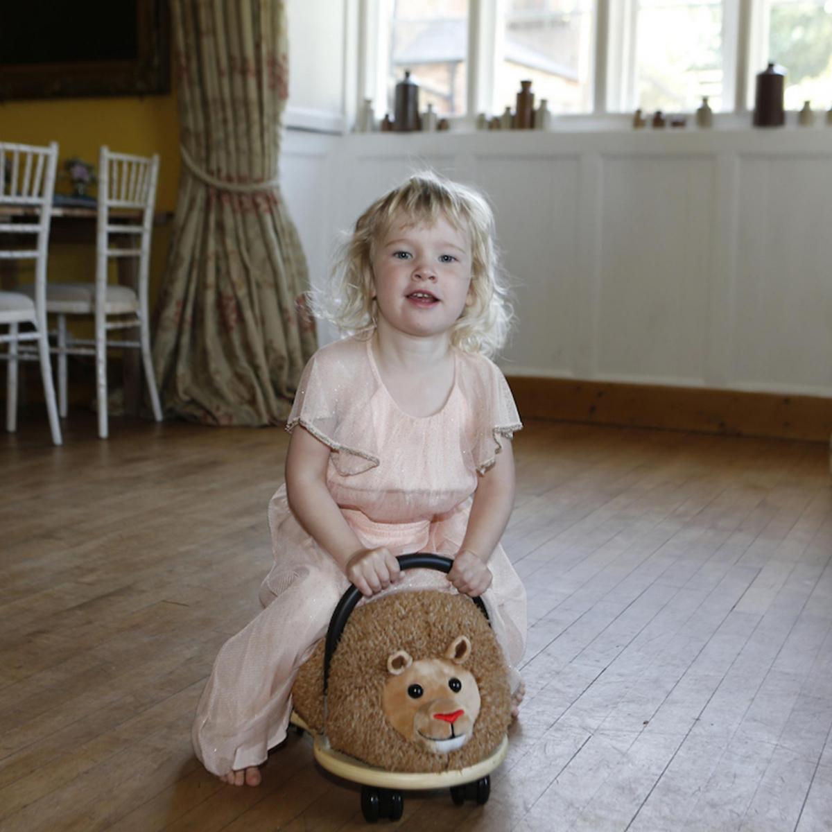 Plush Wheelybug Covers