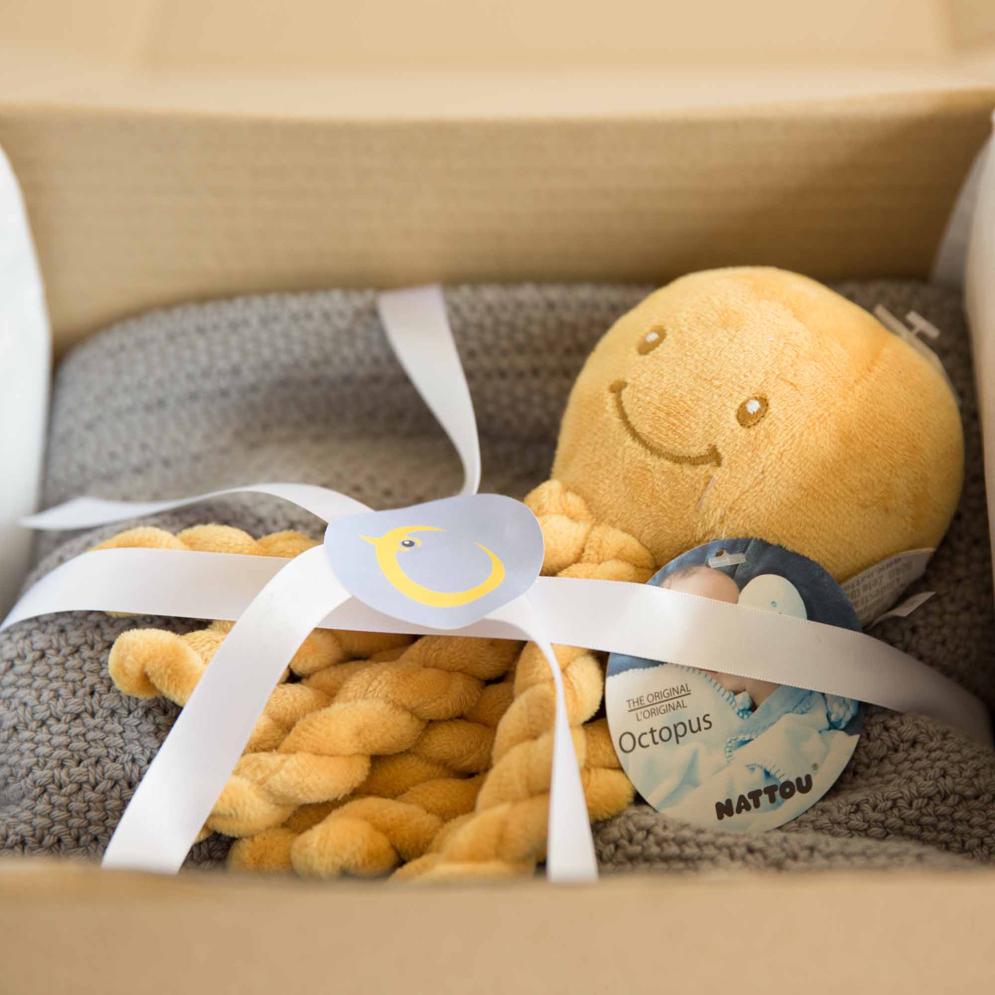 HC Sept-81 RESIZED Hippychick Newborn Bundles