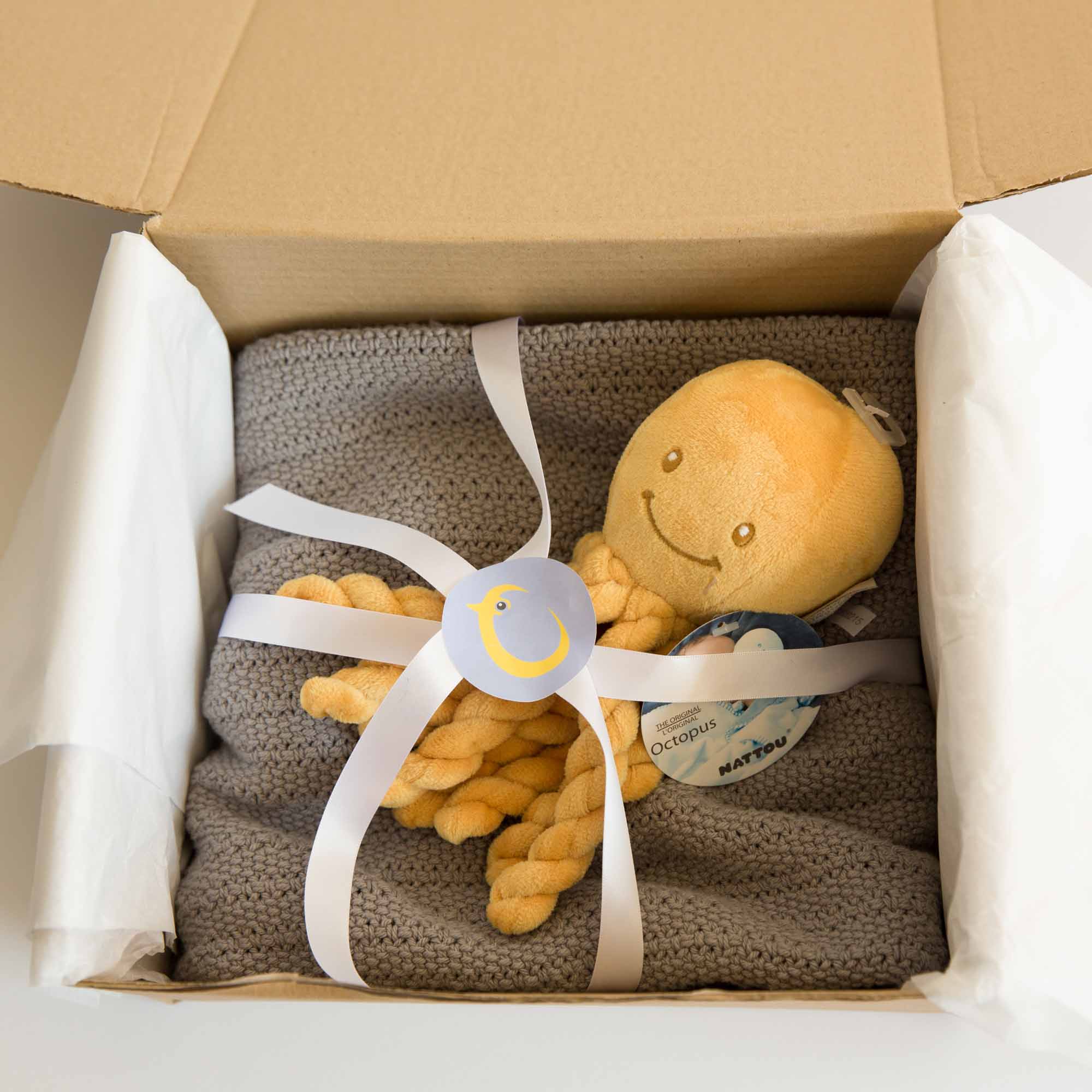 HC Sept-82 RESIZED Newborn Bundle