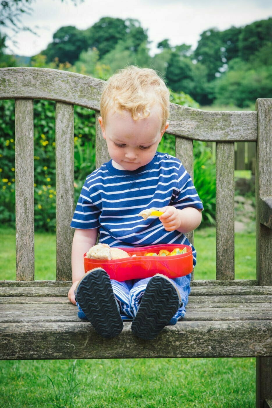 Tum Tum - Lunch Set With Dipping Pot Separator - Bugs
