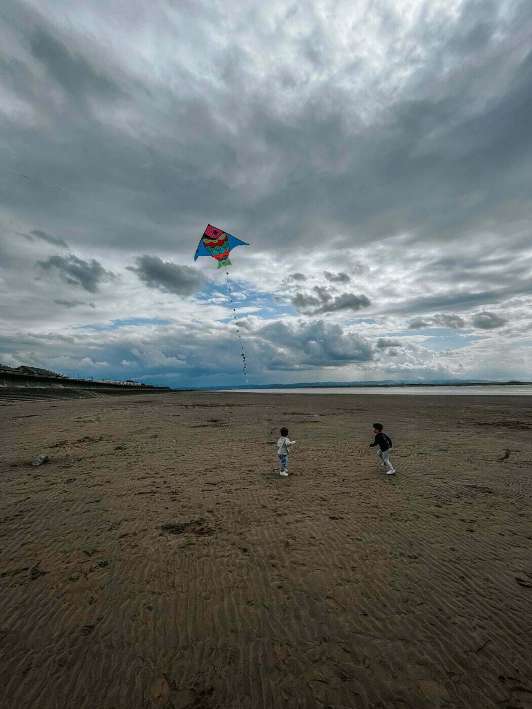 Vilac Giant Fish Kite