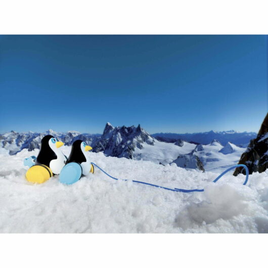 Vilac Hans & Knut Penguins Pull Toy