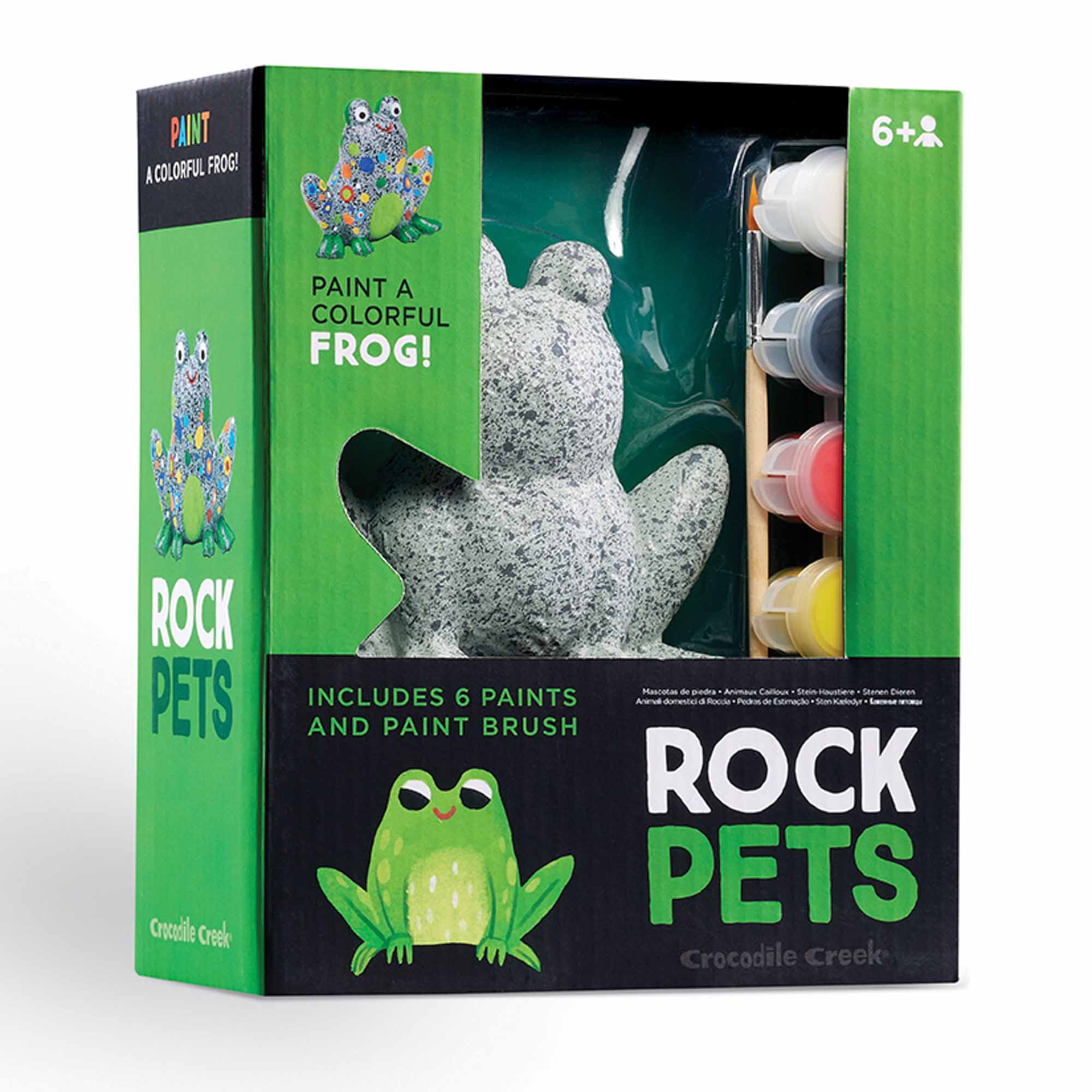 Crocodile Creek Rock Pets Painting Set