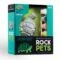 Crocodile Creek Rock Pets Painting Set