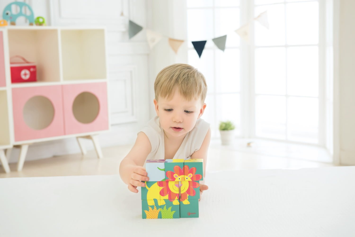 Classic World Wild Animal Blocks Puzzle