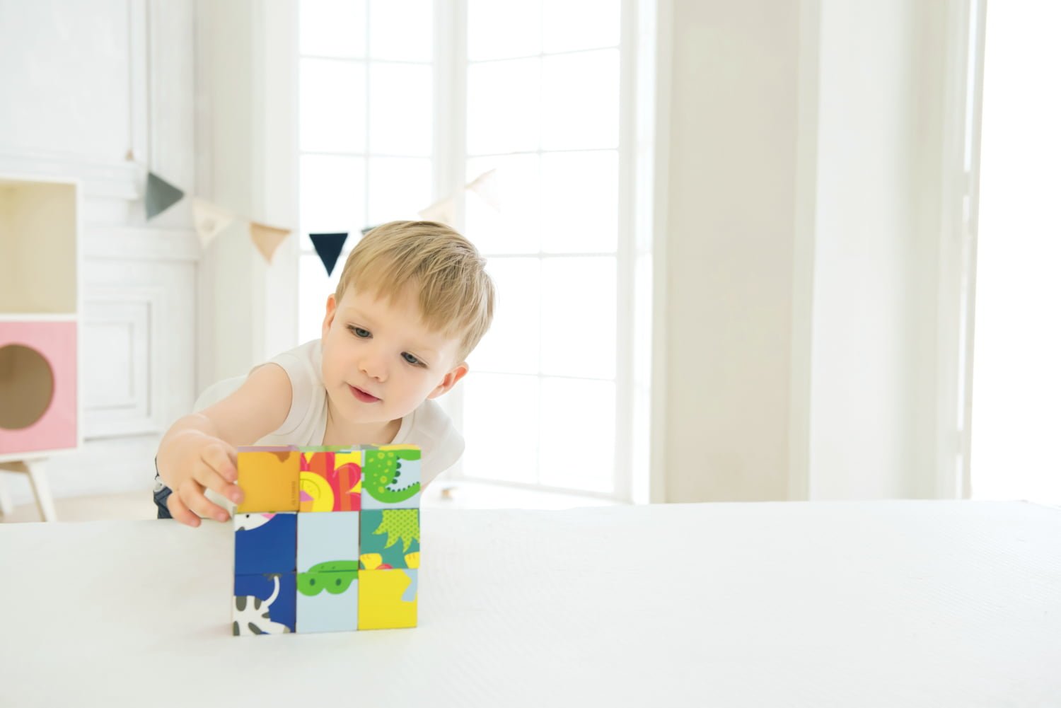 Classic World Wild Animal Blocks Puzzle