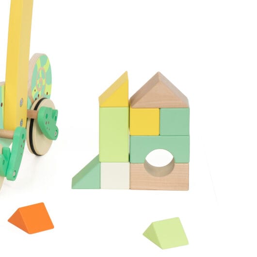Classic World Chameleon Baby Walker With Blocks