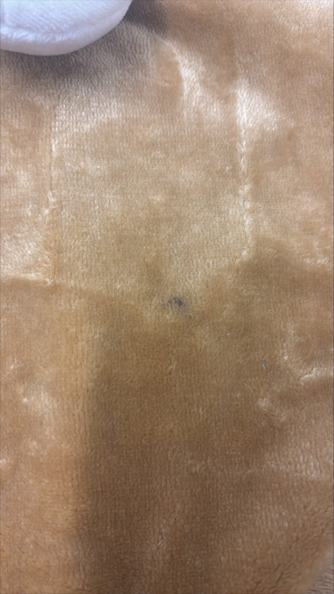 Ex-Display - Nattou Charlie - Maxi Doudou Flannel Caramel