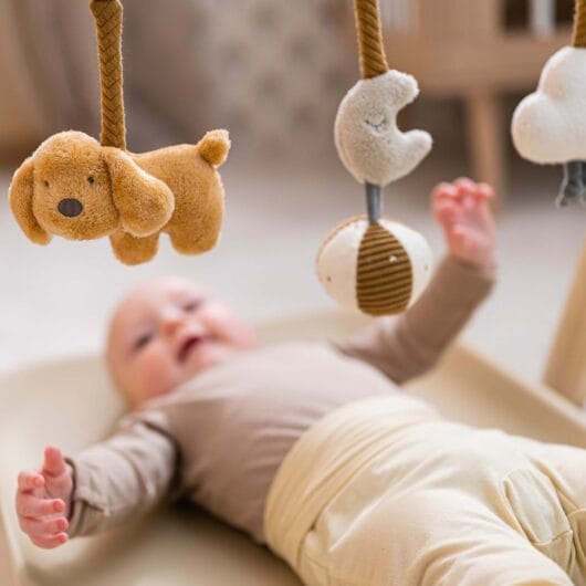 Nattou Wooden Arches with Hanging Toys - Charlie