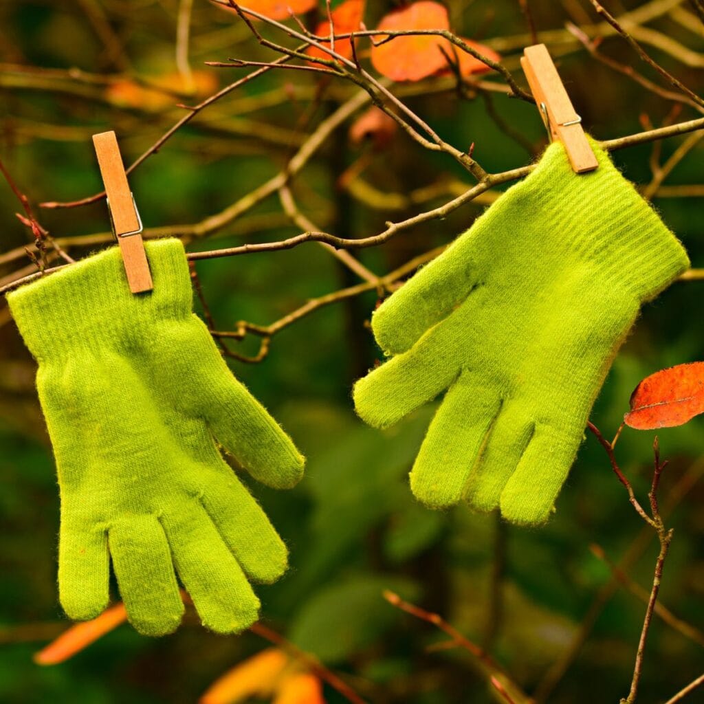gloves pegged on tree branch