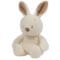 Bunny Cuddly Nightlight