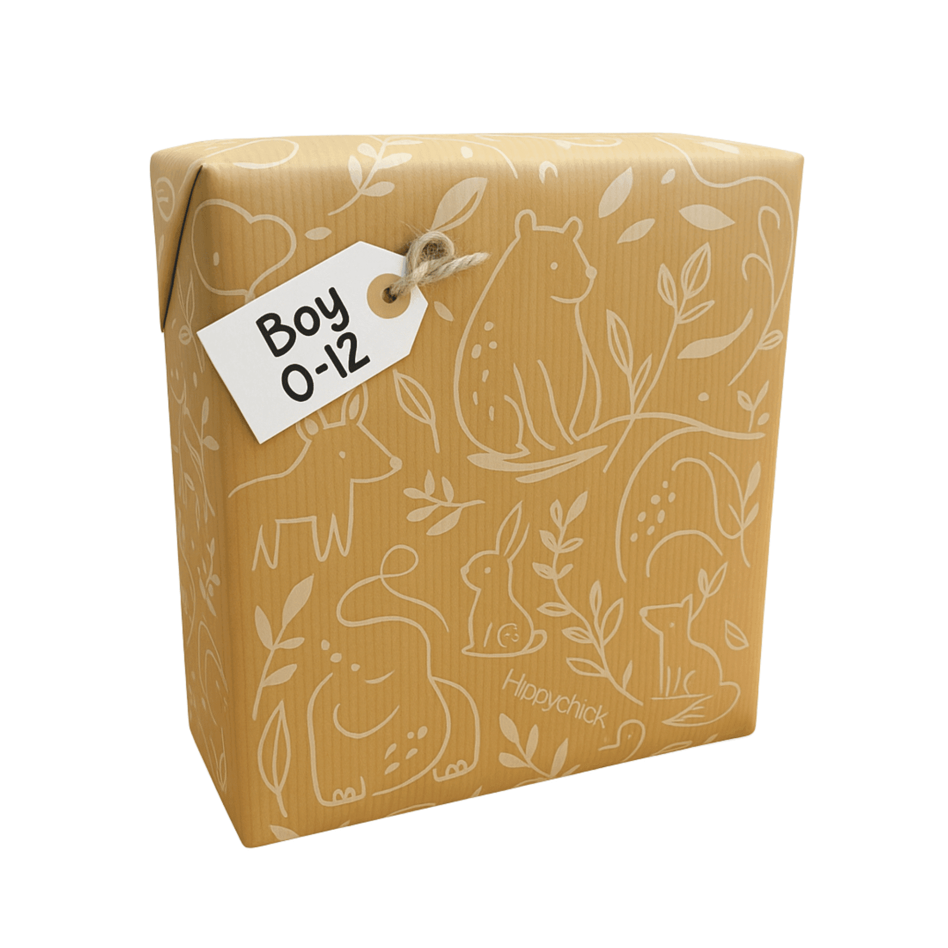 Hippychick Mystery Box - Boy (0-12m)