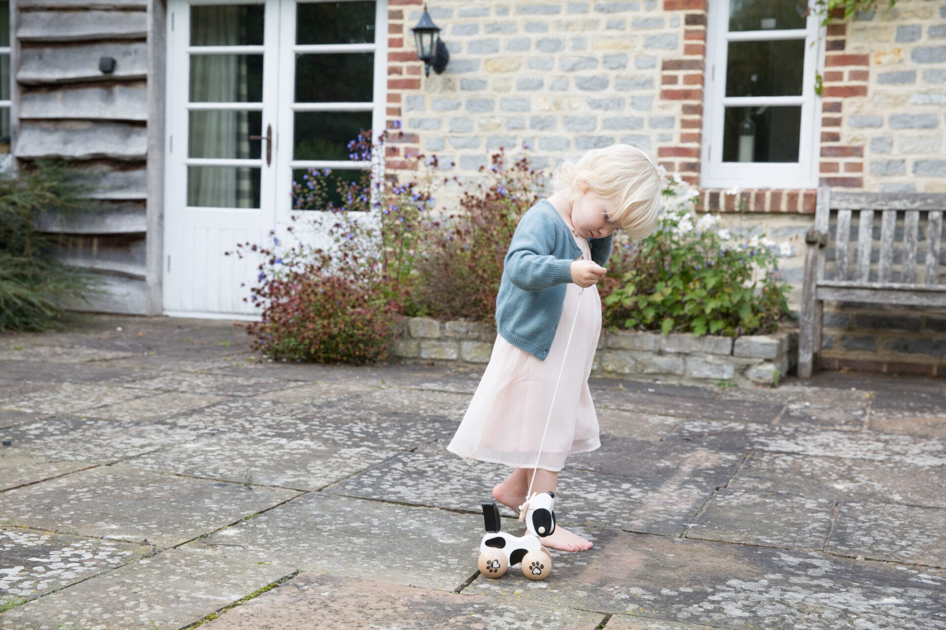 Ex-Display - Classic World Pull Dog