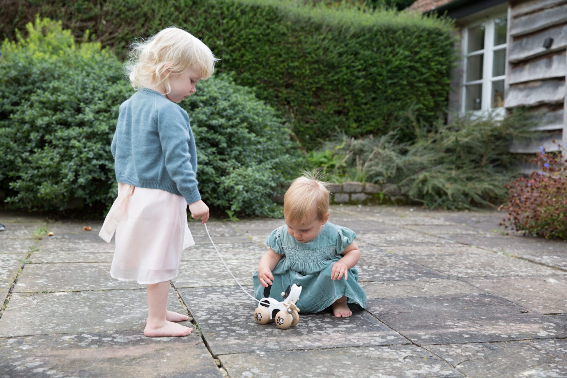 Ex-Display - Classic World Pull Dog