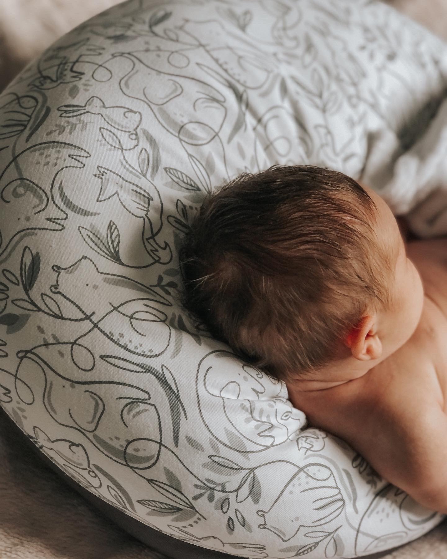 Preloved - Hippychick Feeding Pillow - Animal Friends Grey